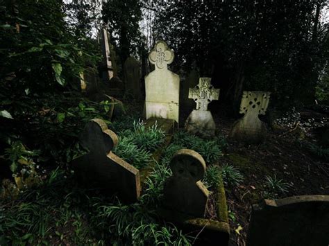 The curxe of the highgate vampire